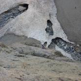 Mur du Cirque Gavarnie