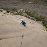 Mosanto la Muerte Pared de Bones Arguis