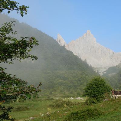 ansabere face sud ravier